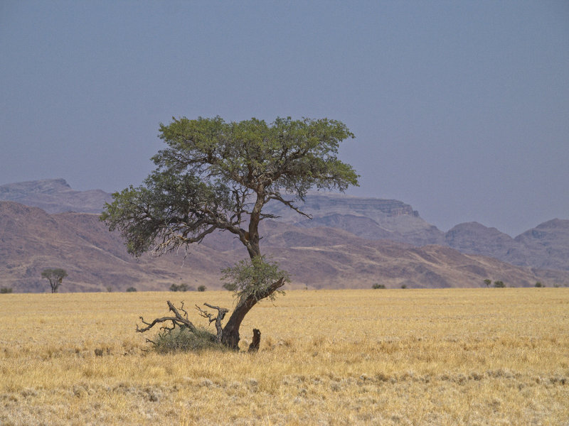 Sossusvlei